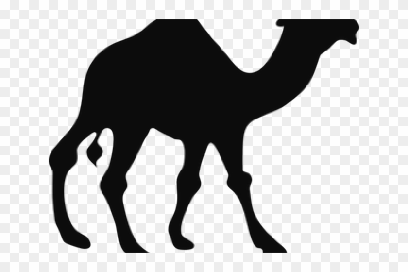 Llama Clipart Footprint - Camel Black And White #1419978