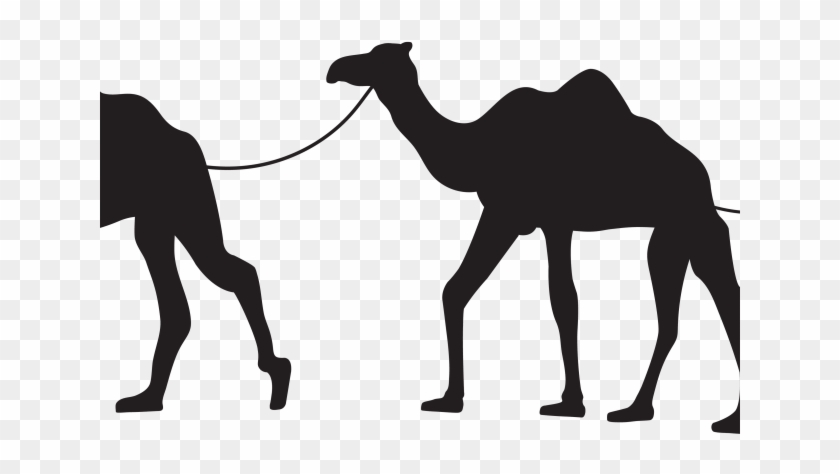 Llama Clipart Shadow - Camel Black And White #1420027
