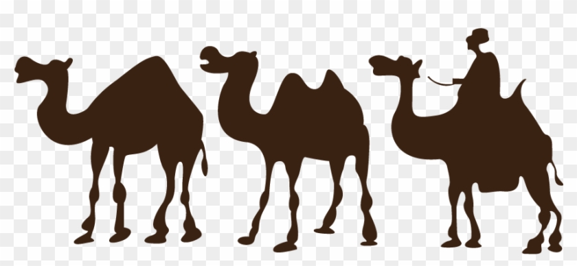 Graphic Royalty Free Stock Oasis Drawing Desert Arabian - Desert Camel Silhouette #1420135