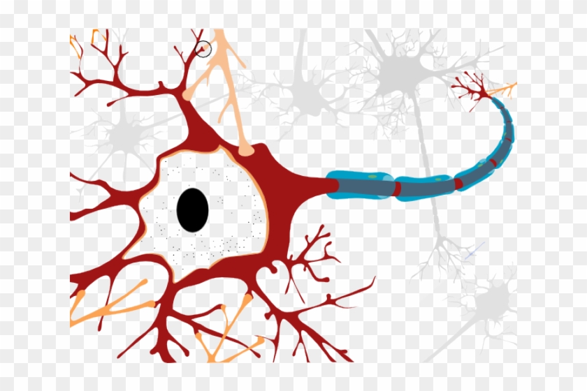 Neuron Clipart Clip Art - Motor Neurone Disease Cell #1420141