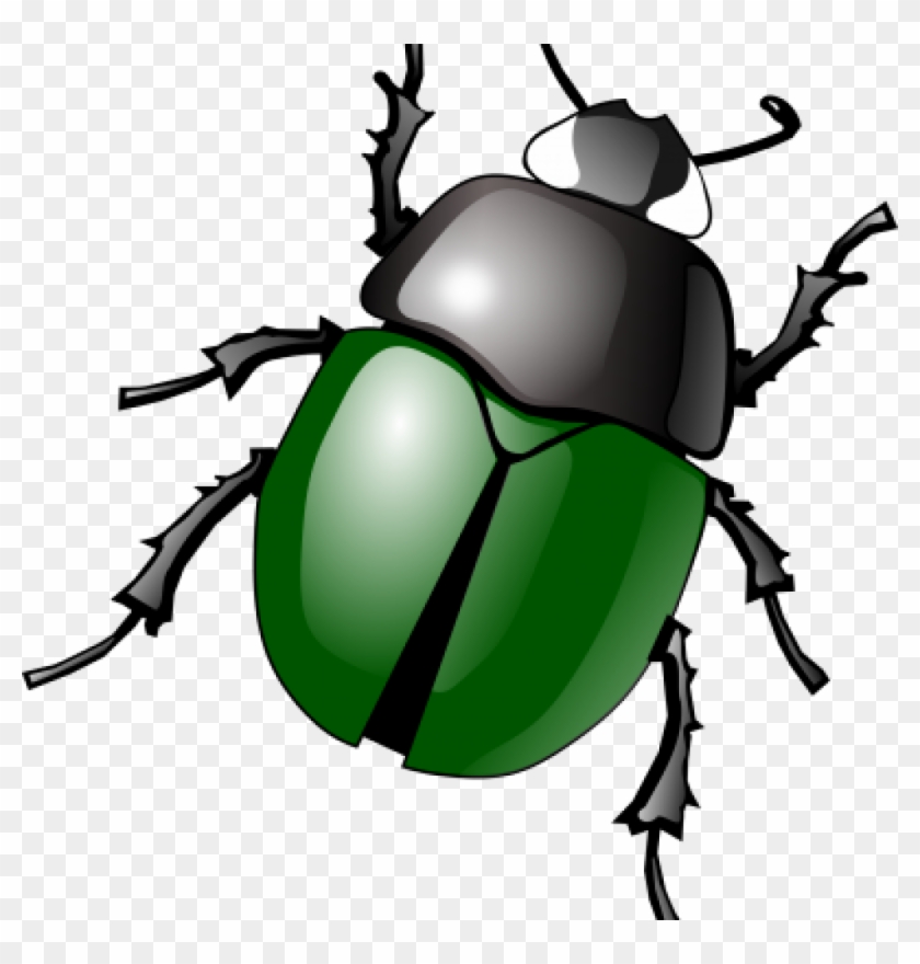 Insect Clipart 19 Insect Clip Art Library Huge Freebie - Beetle Clip Art #1420181
