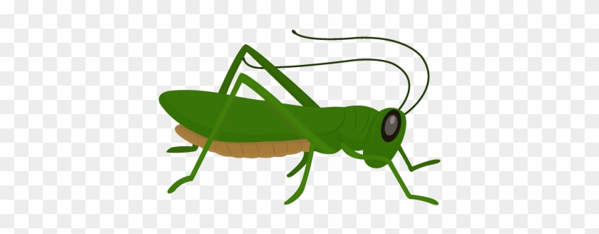 Transparent Stock Grasshopper Clipart Grillo - Grillo Png #1420201