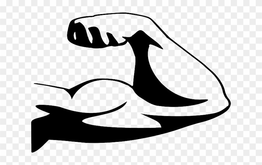 Meekness Is Not Weakness - Fitness Journal 2017 Food Diary Workout Journal Logbook #1420207