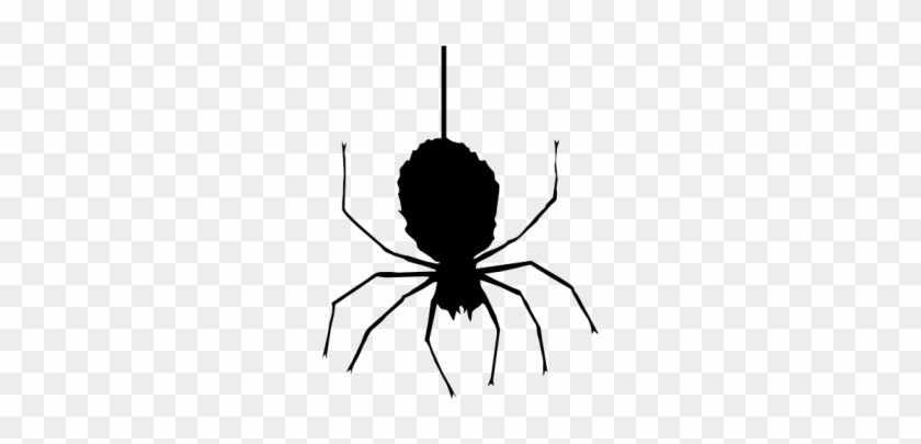 Halloween Spider - Halloween Icon Png Spider #1420432