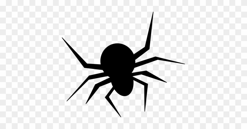 Halloween Spider - Spider Halloween Png #1420440
