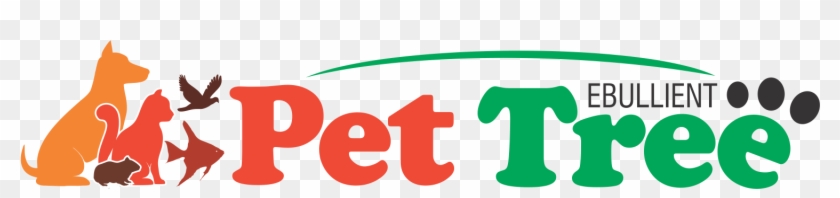 All Categories - Water #1420494