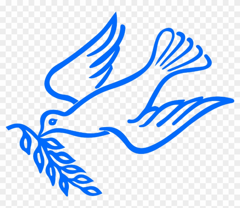 The President's Executive Order On Immigration And - Dove Of Peace Png #1420724
