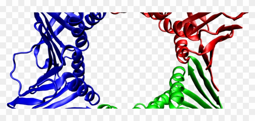 Nwo Projectruimte Grant For Dna Flexibility Research - Pcna Proteina #1420731