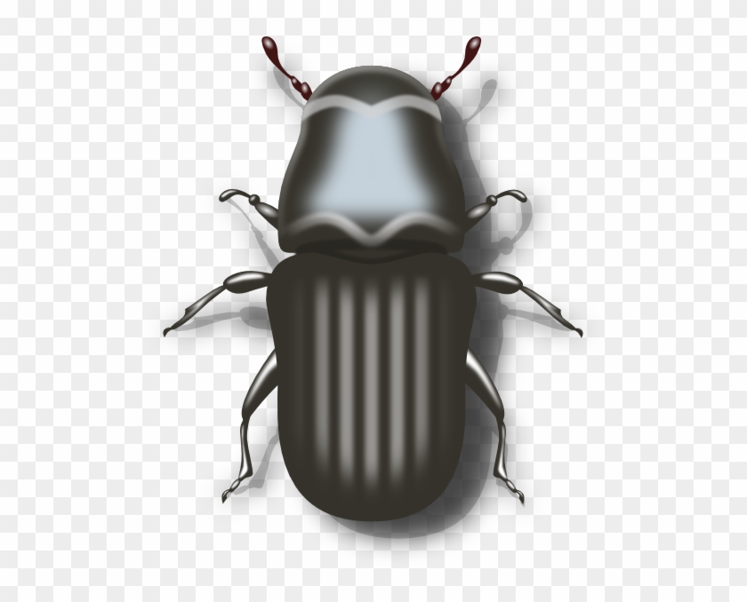 Clip Art At Clker Com Vector Online - Mountain Pine Beetle Png #1421071