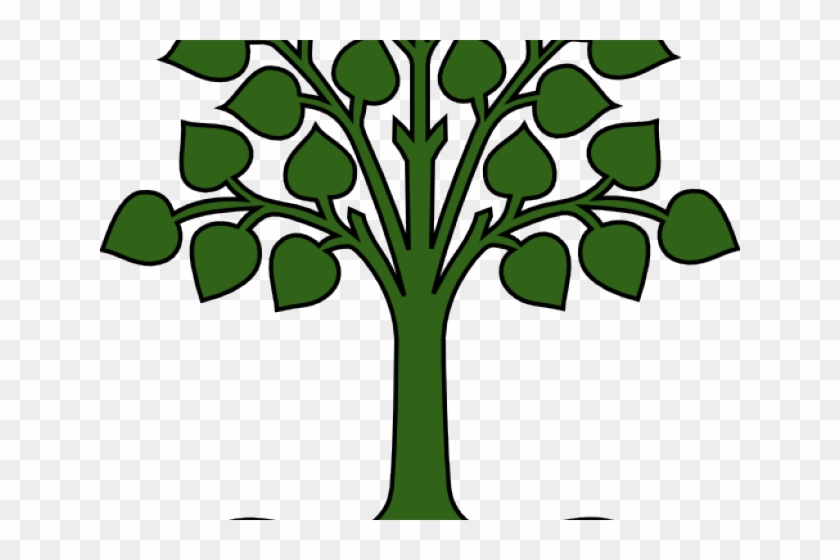 Roots Clipart Texas Root - Canopy Tree And Roots #1421096