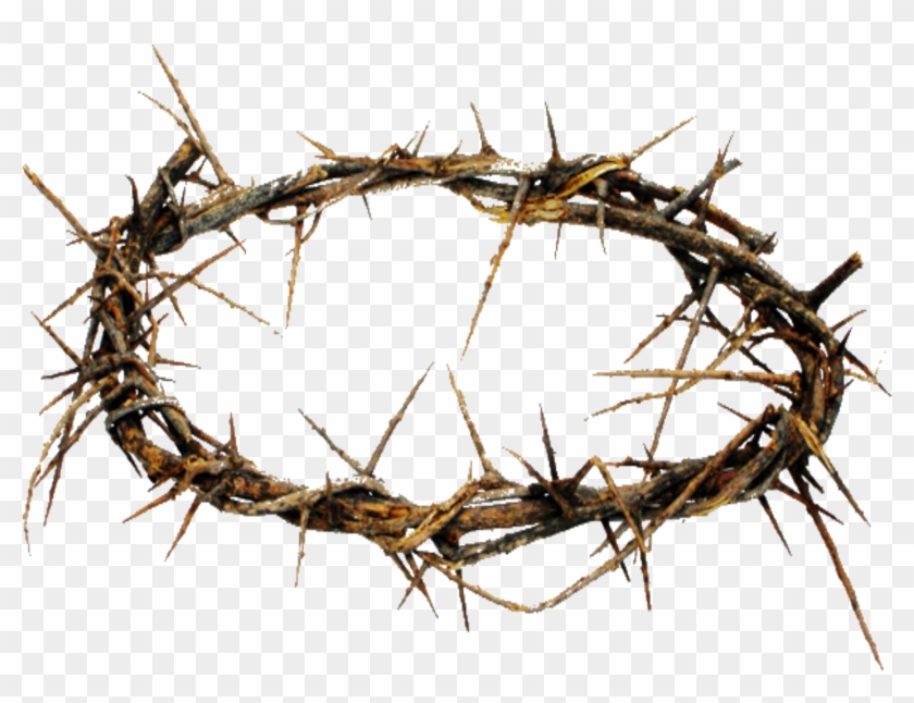 Crown Of Thorns Png Hd Transparent Crown Of Thorns - Story Of His Love - Cd #1421165
