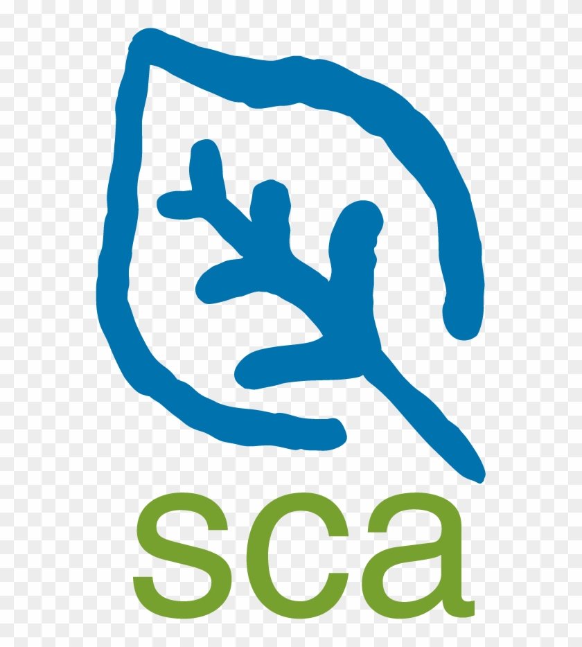 Color Embroidered Sca Logo - Student Conservation Association Logo #1421282