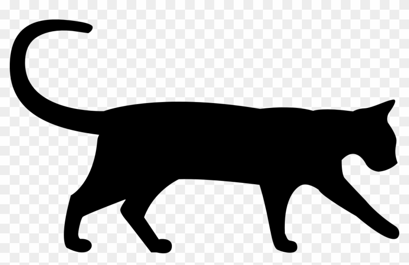 Szablon Kota Png Czarny / Cat Silhouette / Public Domain - Cat Graphic #1421676