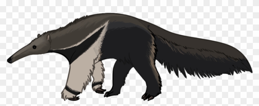 Child Standing Clipart - Giant Anteater Clipart #1421967
