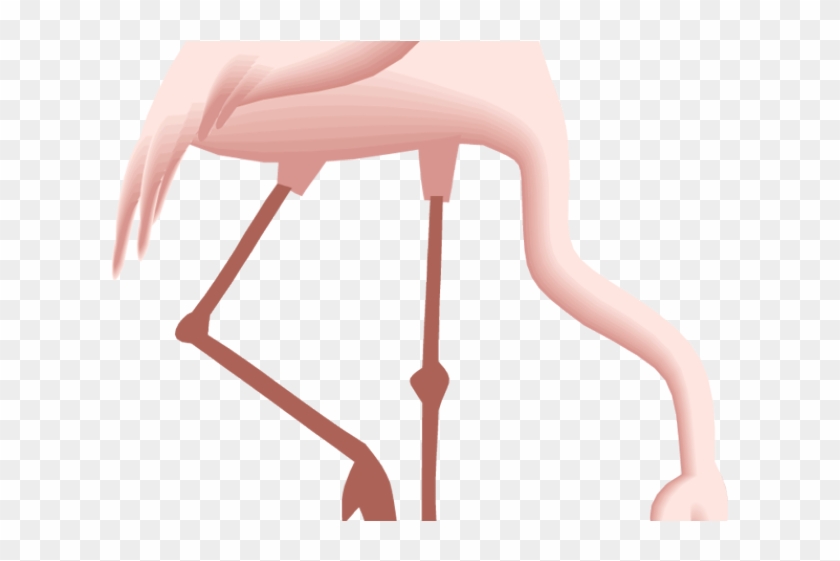 Flamingo Clipart Pretty In Pink - Bird #1422030
