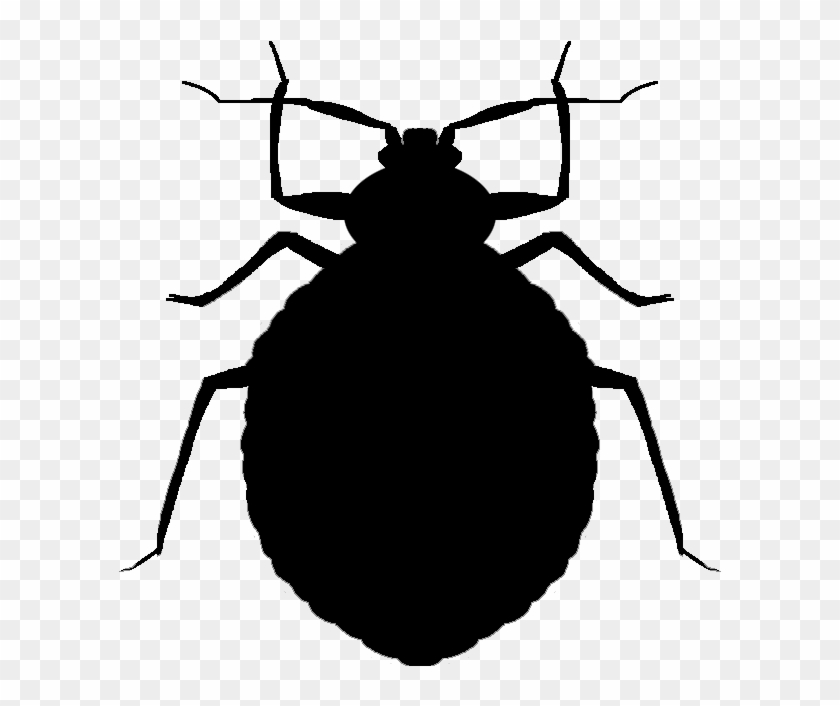 Download Graphic Black And White Library Fruits And - Bed Bug Png Black #1422143