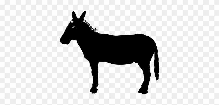 Donkey Silhouette Download Computer Icons Mule - Reasons To Vote For Democrats A Comprehensive Guide #1422259