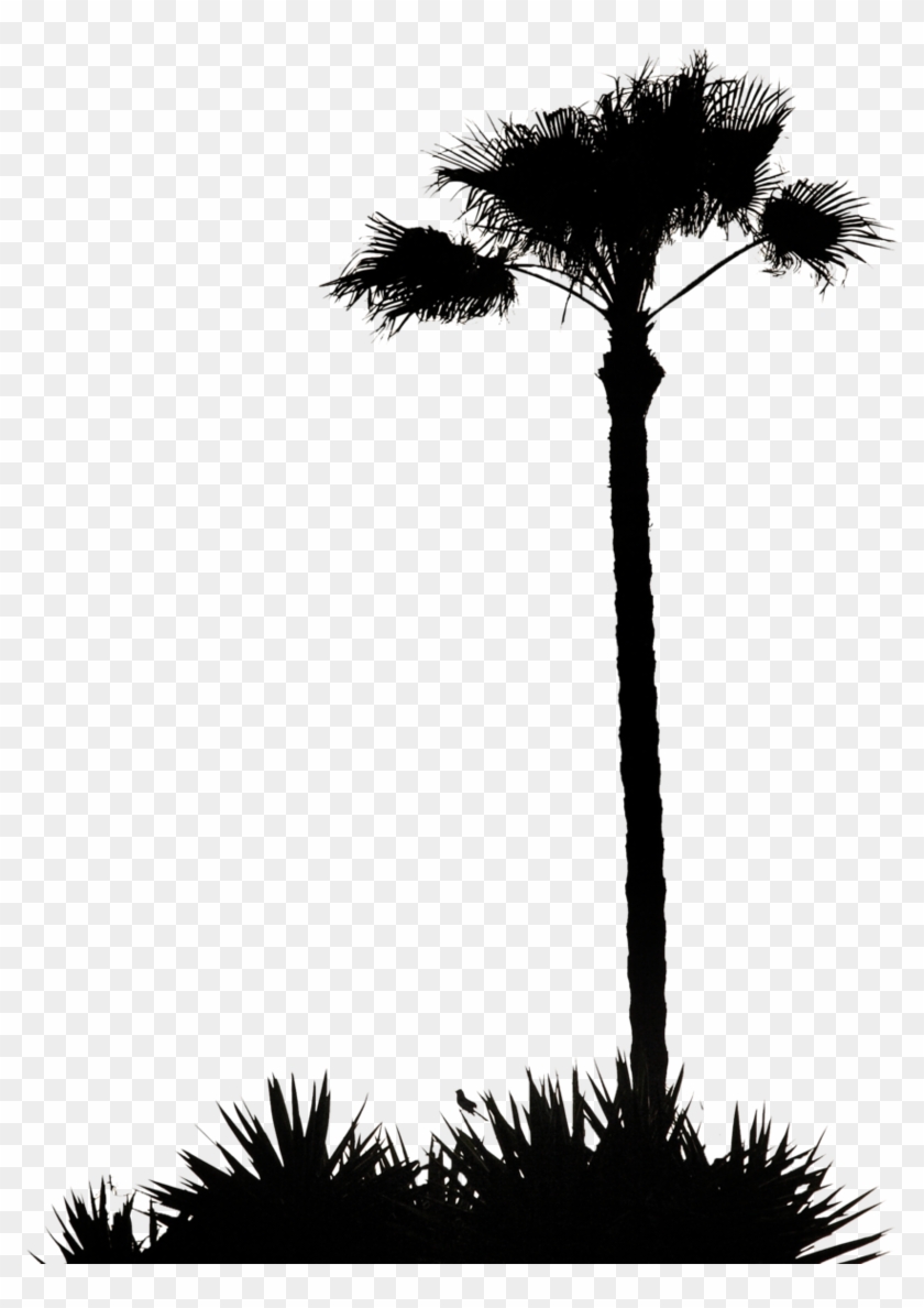 Reflection Clipart Palm Sunday - White Palm Tree Silhouette Png #1422262