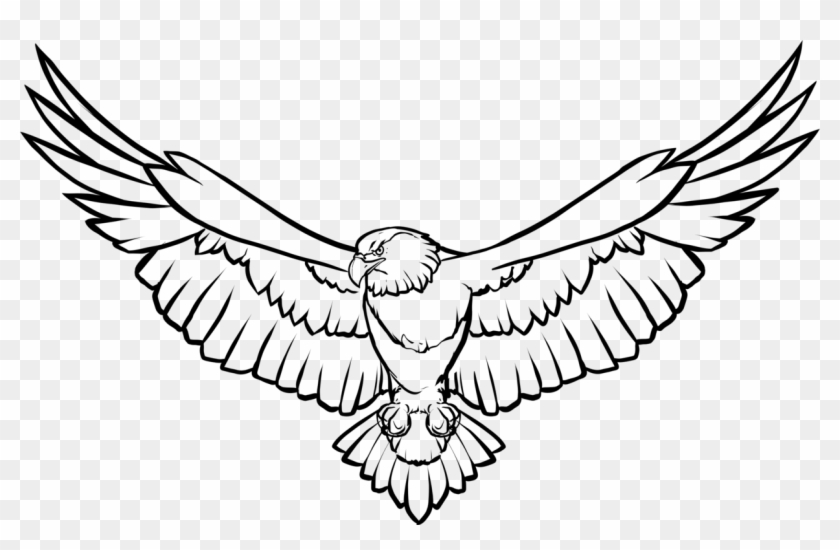 Line Art Drawing Bald Eagle Eagle Feather Law - Soaring Eagle Clipart Black And White #1422286