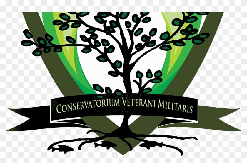 Slider Odoo Image - Veterans' Greenhouse #1422498