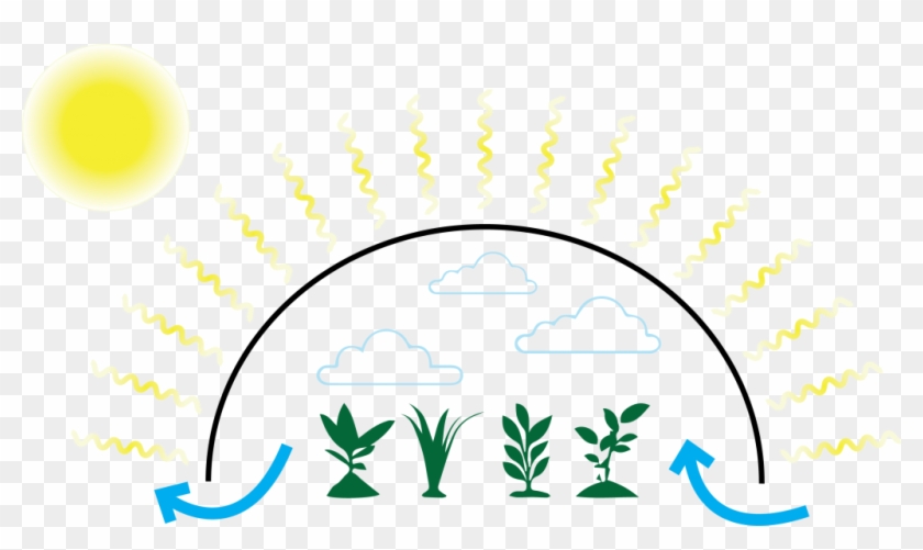 Greenhouse Graphic - Greenhouse #1422506