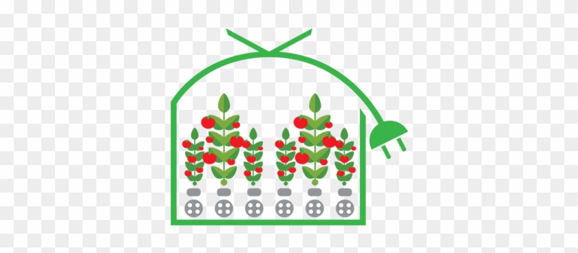 Modern Greenhouse Systems - Tomato #1422526
