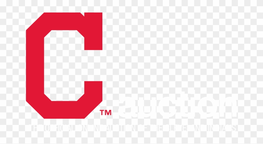 Major League Baseball Auction - Goodyear Ballpark #1422777