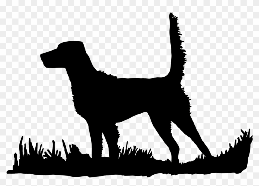 English Setter High Tail Bird Dog Silhouette - English Setter Silhouette Sitting #1422856