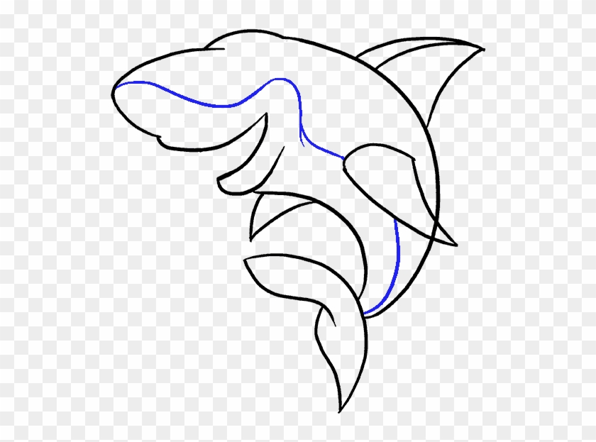 Dolphin Drawing Step By At Getdrawings Com - Drawing #1423051