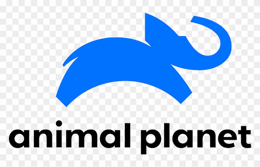 Available Networks - Animal Planet Logo 2018 #1423139