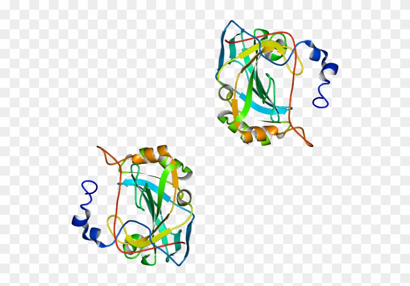 Molmil Generated Image Of 1fsn - Molmil Generated Image Of 1fsn #1423422