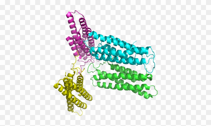 X-ray Diffraction Data From Human Metavinculin Tail - Illustration #1423423