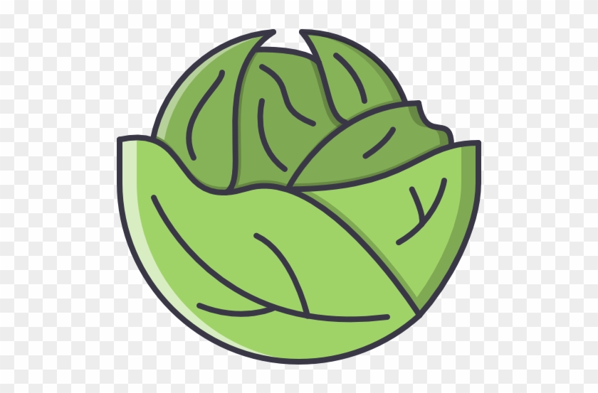 Cabbage Free Icon - Portable Network Graphics #1423502