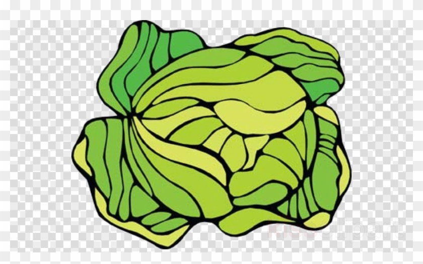 Love Cabbage Clipart Cauliflower Cabbage Clip Art - Eat ... Sleep ... Cabbage Rectangle Sticker #1423506