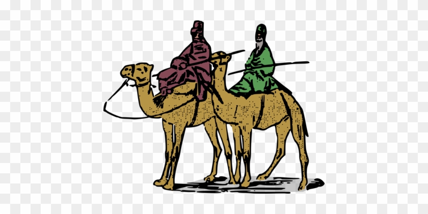 Dromedary Bactrian Camel Equestrian Computer Icons - Camel #1423520