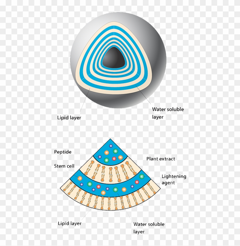 Stem Cell #1423962