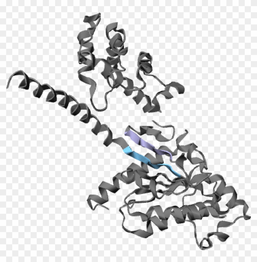 Protein Contacts Atlas Is A Tool That Helps Biologists - Illustration #1424316