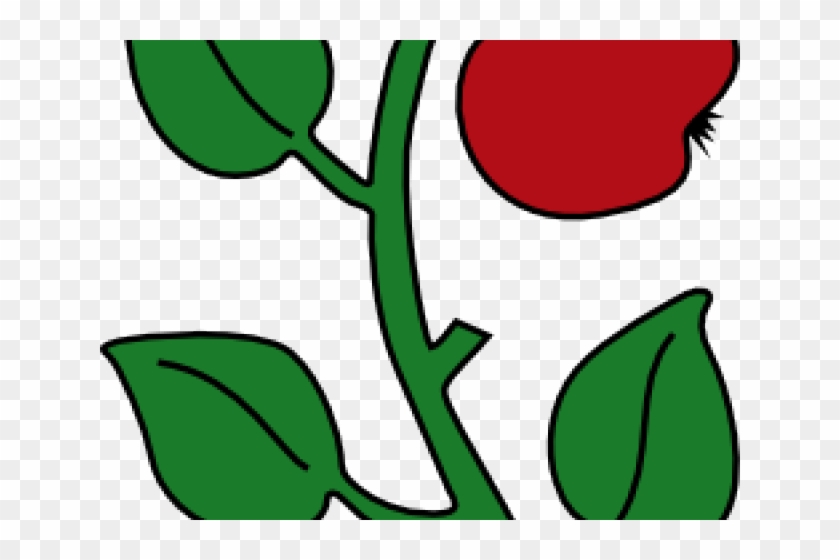 Branch Clipart Apple Tree - Clip Art #1424416