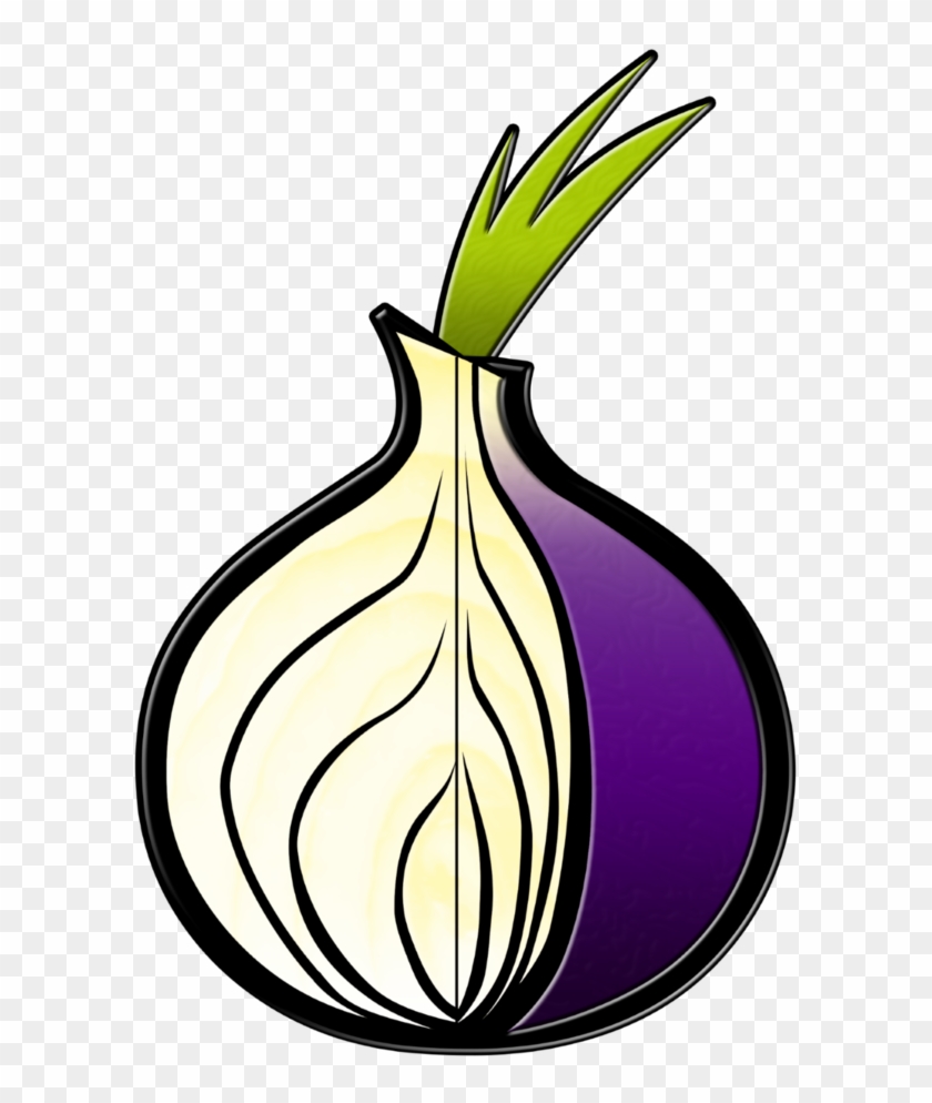 Onion Clipart Tree - Tor Browser Icon Png #1424784