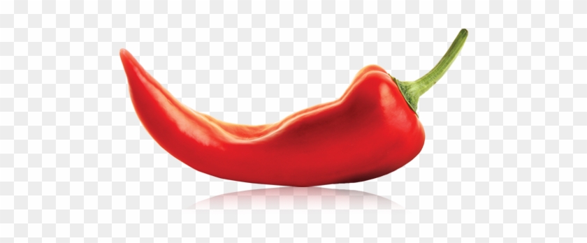 Chile Clipart 3rd - Chili Fire Png #1424840