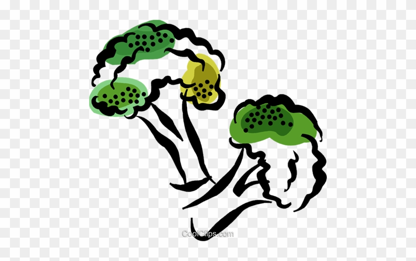 Broccoli Royalty Free Vector Clip Art Illustration - Illustration #1425008