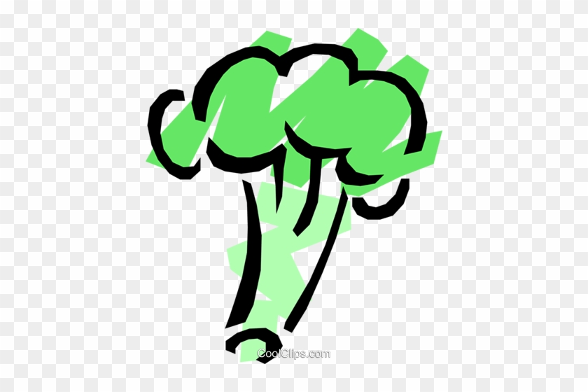 Broccoli Royalty Free Vector Clip Art Illustration - Broccoli Royalty Free Vector Clip Art Illustration #1425030