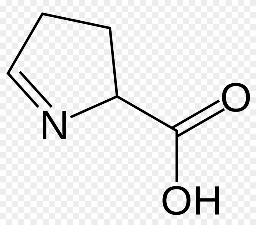 Proteins Symbol #1425069