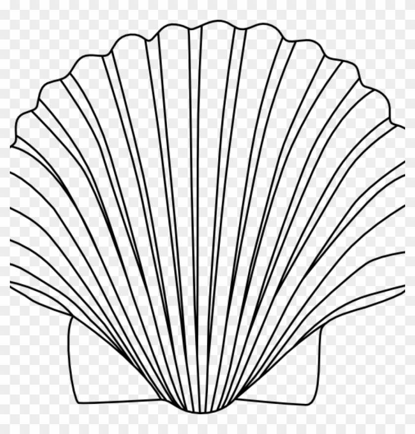 Shell Clipart 15 Shells Clipart Black And White For - Clip Art Sea Shell #1425366