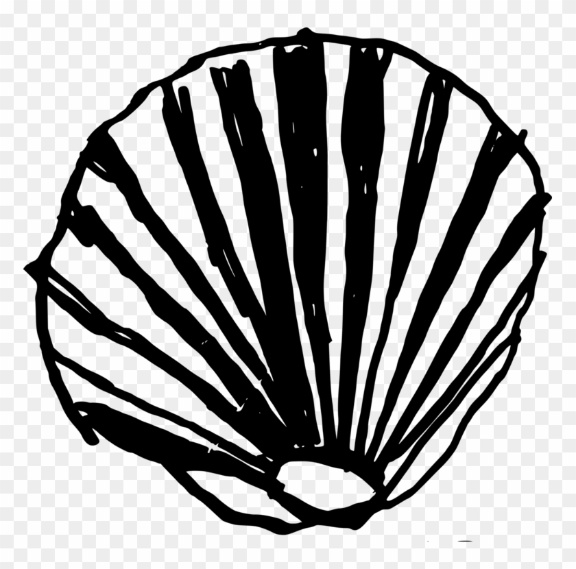 Seashell Computer Icons Download Pdf Conch - Shell Png Black #1425371