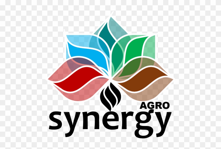 Agrosynergy Belongs To A Spanish Company Developer - Bellingwedde #1425514