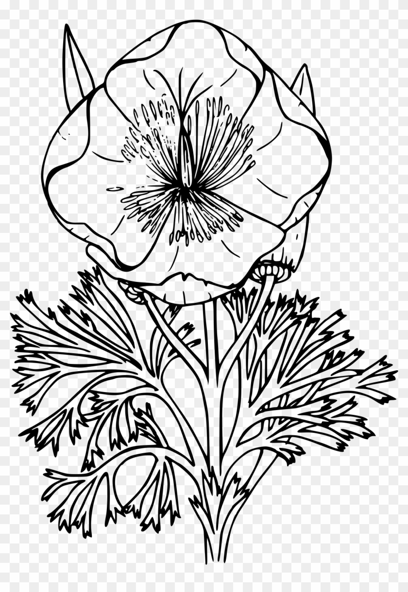 Clipart California Poppy Big Image Png - Poppies Clipart Black And White #1425559