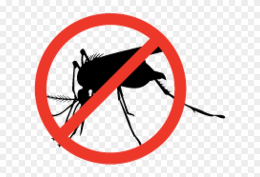 Bio Vector Mosquito - Bio Vector Mosquito #1425636