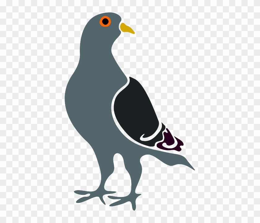 Pigeon Clip Art #1425665