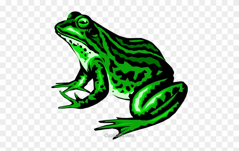 Freeuse Stock Clipart At Getdrawings Com - Frog Clipart #1425720